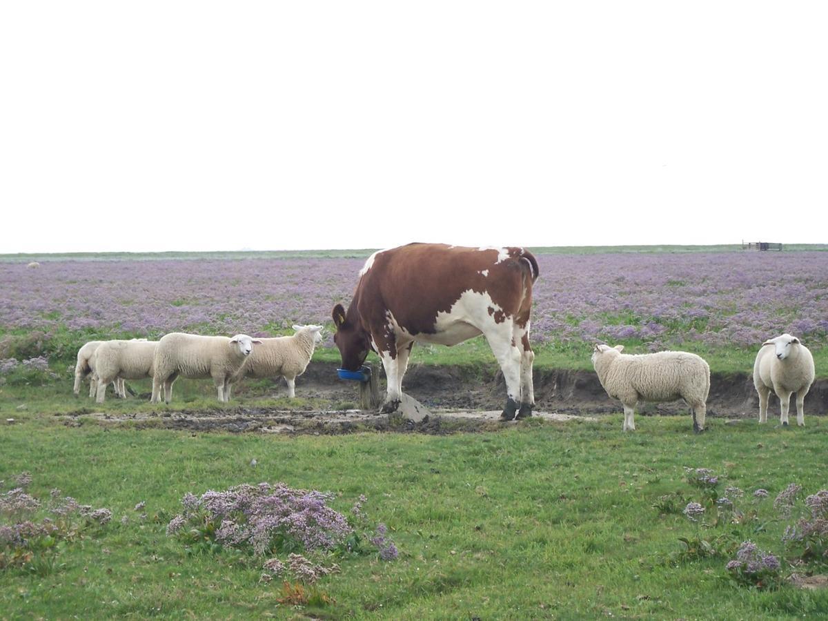 Landhaus Pfahlershof Karolinenkoog Dış mekan fotoğraf